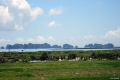 DSC08910