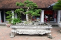 DSC09212