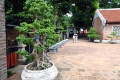 DSC09225